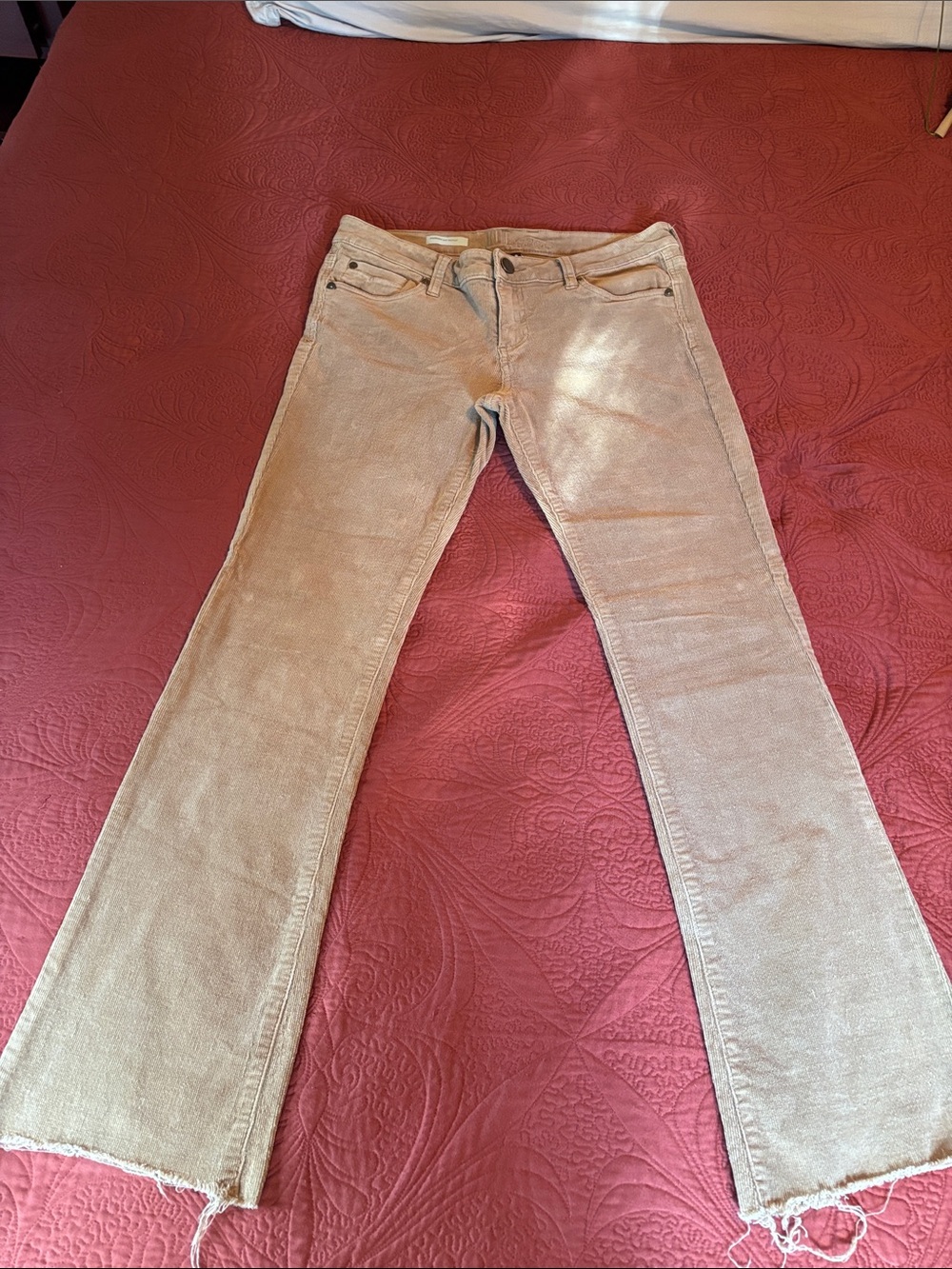 KUT Farrah Baby Bootcut Dan, beige corduroy pants